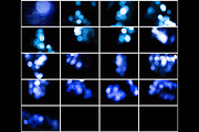 5K Ice Bokeh Overlays, a Texture Graphic by ArtPlanet (Thumbnail 4 of 4)