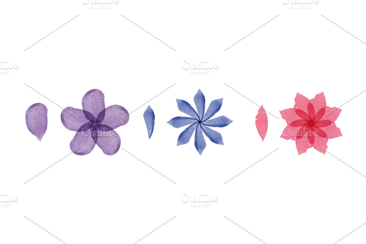 Watercolor flowers and leaves in, an Illustration by okskukuruza