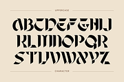 Befar Luxury - Branding Logo Font, a Serif Font by Nirmana Visual (Thumbnail 3 of 10)