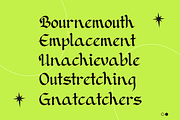 Xwisth Font, a Blackletter Font by Allouse Studio (Thumbnail 4 of 11)