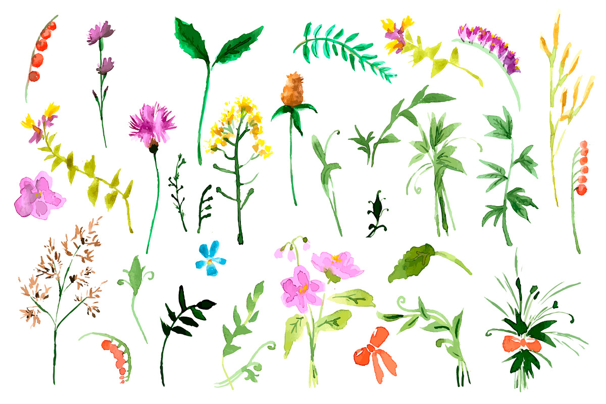 №9 Wild flowers collection, an Object Graphic by Rasveta