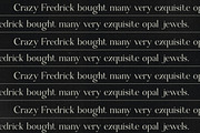 Fernon - Modern Serif Font, a Serif Font by PROF STUDIO (Thumbnail 2 of 7)