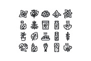 Oregano herb plant food condiment, an Object Graphic by pikepicture (Thumbnail 1 of 3)
