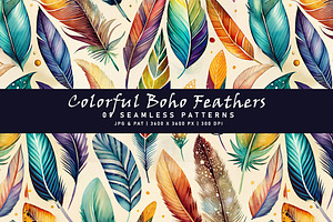 Colorful Boho Feathers