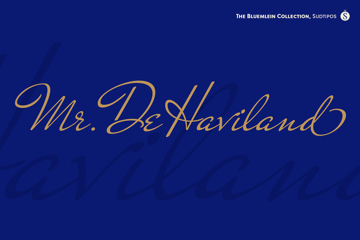 Mr DeHaviland Pro