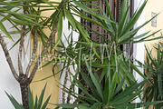 Holistic Lifestyle Bundle (Green), a Health & Medical Photo by Wellness Stock Market (Thumbnail 2 of 37)