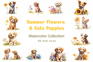 Summer Flower And Cute Puppies