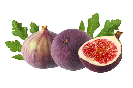 purple figs isolated on a white, a Food & Drink Photo by BalaguR