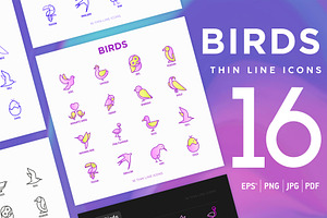 Birds | 16 Thin Line Icons Set, an Outline Icon by Alex Blogoodf
