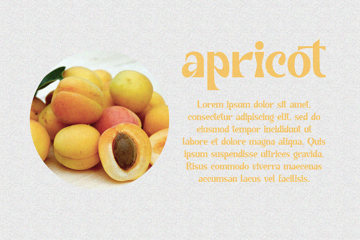 Pearly - Modern Vintage Font, a Serif Font by Airotype (Photo 8 of 15)
