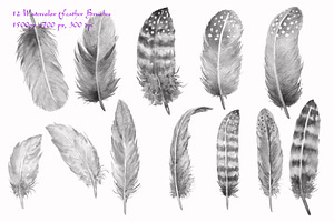 Watercolor Photoshop Brush Feathers