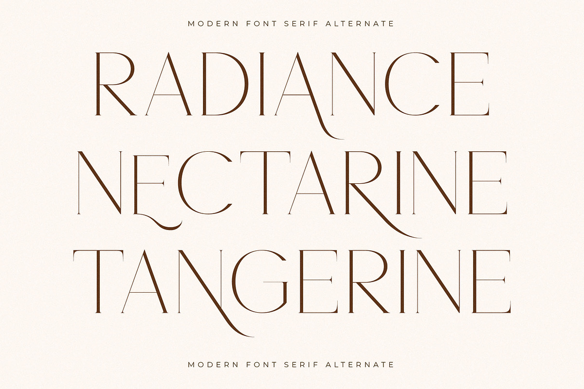 Noracle Modern Font Serif Alternate, a Serif Font by Storytype Studio (Photo 11 of 15)
