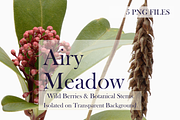 Airy Meadow – Wild Berries & Botanic, an Object Graphic by Aga Silva (Thumbnail 2 of 5)