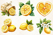 Watercolor Lemon Bundle Clipart, an Illustration by Libby Wishes (Thumbnail 3 of 5)
