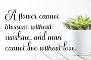 Maryam - Elegant Calligraphy Font, a Script Font by Imiftype Studio (Thumbnail 7 of 10)