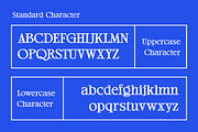 Bustor Rhikan - Slab Serif Font, a Slab Serif Font by Kulokale (Thumbnail 9 of 10)