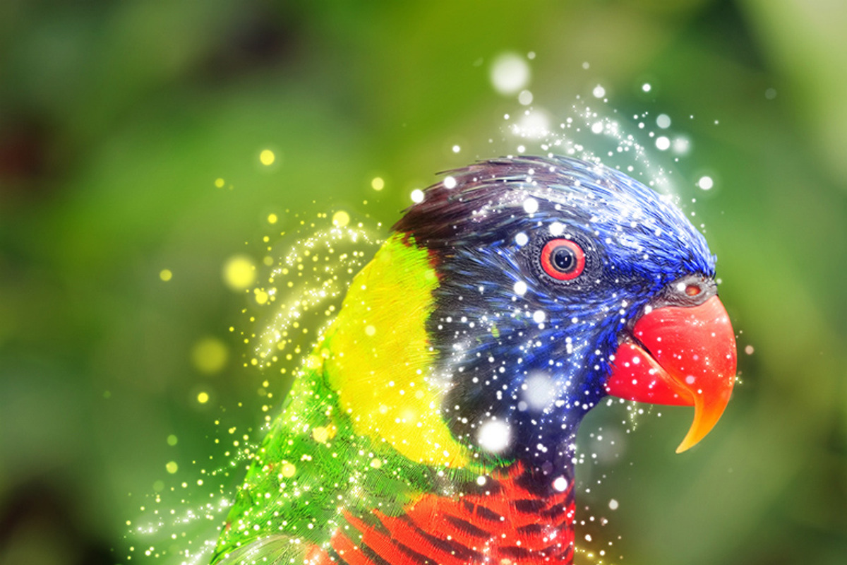 Twinkle, an Action Add-On by Danive Studio (Photo 9 of 11)