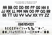 The Star, a Script Font by FreshTypeINK (Thumbnail 5 of 8)