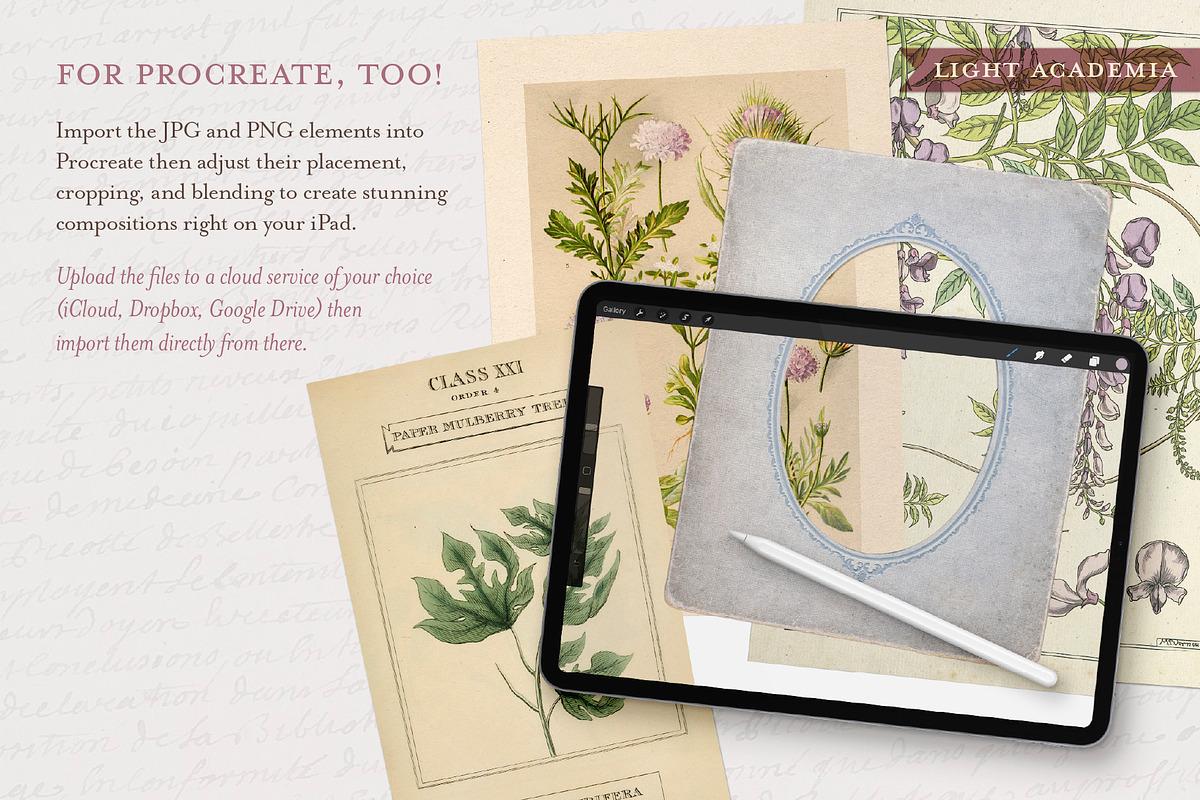 BUNDLE: 600 Academia Ephemera, an Object Graphic by The Object Atlas (Photo 13 of 16)