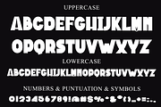 Ribbon, a Script Font by FreshTypeINK (Thumbnail 4 of 7)