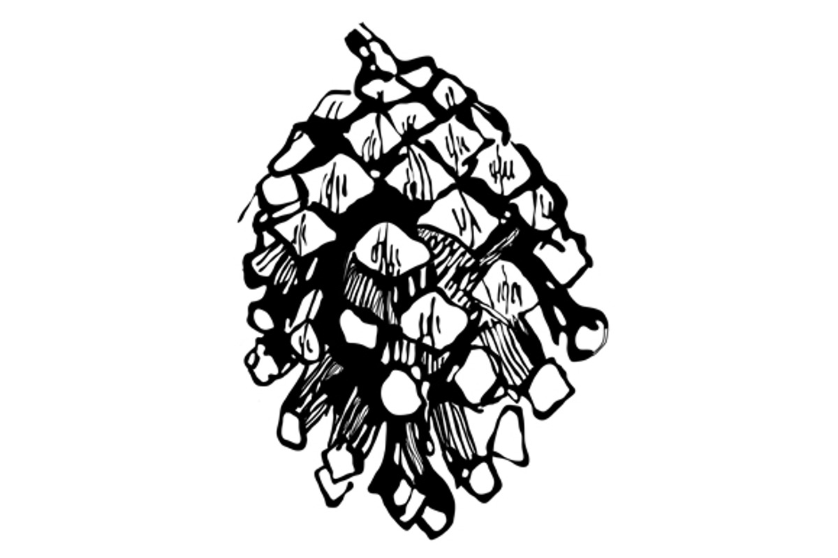 cones vector set preview 3