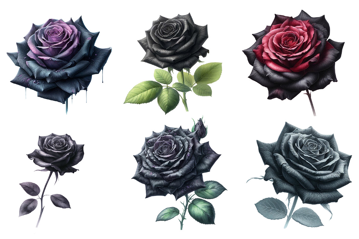 Watercolor black rose Clipart, an Illustration by Designworld (Photo 3 of 5)