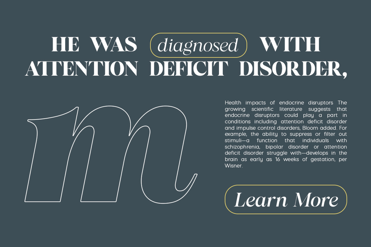 Almero Serif Family, a Serif Font by Zane Studio (Photo 10 of 11)