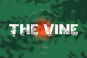 THE VINE DISPLAY FONT, a Sans Serif Font by Luxima (Thumbnail 1 of 7)