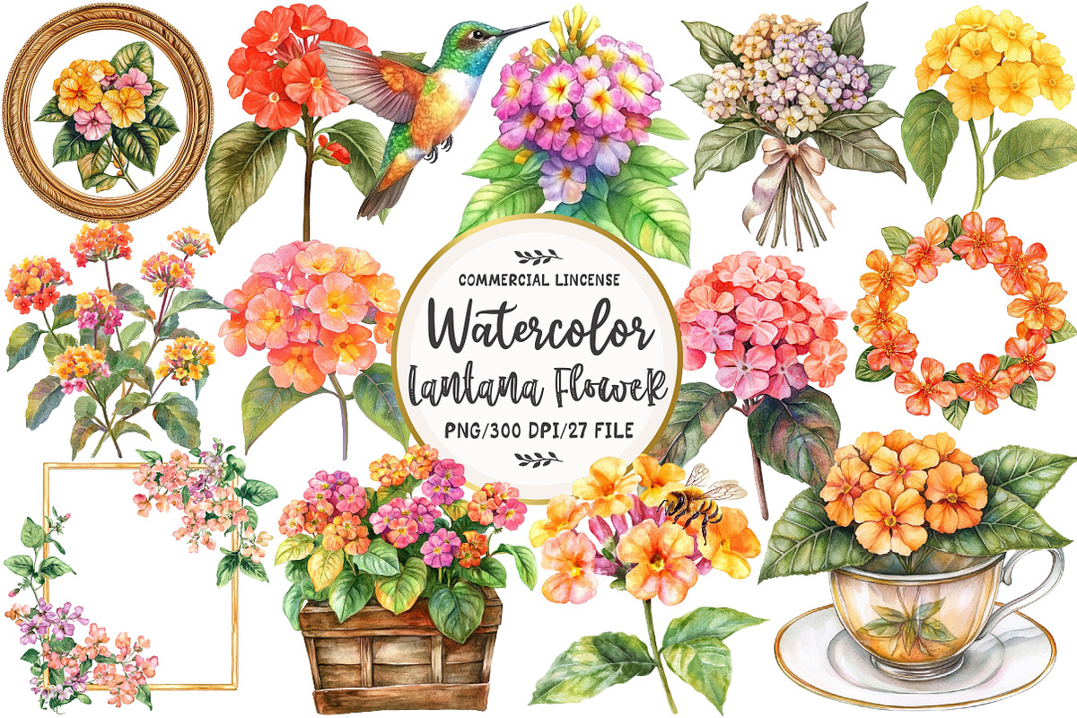 Watercolor Lantana Flower Clipart, an Illustration by OK Design (Photo 1 of 5)