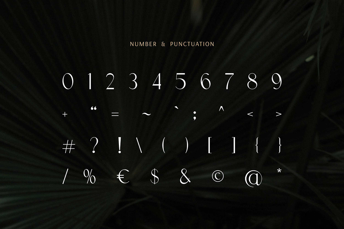 Prestigious - Luxury Elegant Font preview 7