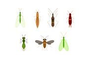 Flat Insects Illustration, an Animal Illustration by Buqancreative (Thumbnail 5 of 6)