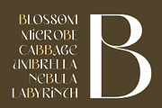 Elegant Sans - Miguela Verona, a Sans Serif Font by Novitype (Thumbnail 4 of 12)