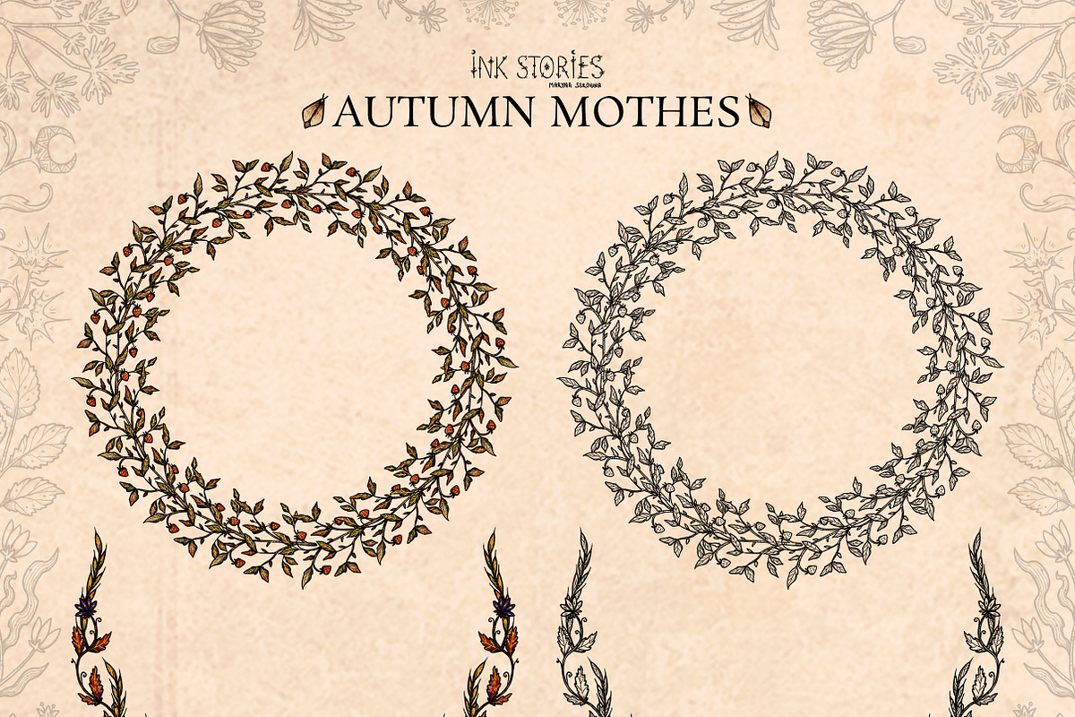 Autumn Moths & Dried Botanicals, an Animal Illustration by Ink Stories (Photo 15 of 18)