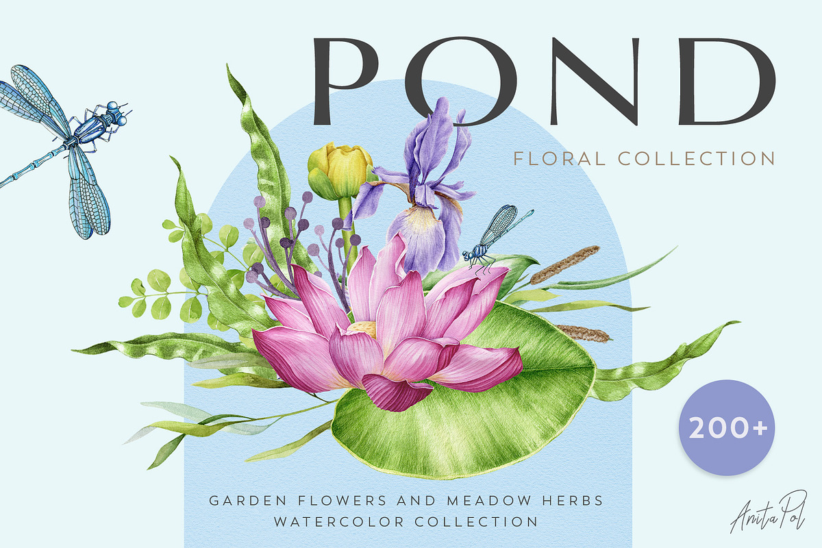 Botanical Watercolor Clipart Set, a Decorative Illustration by AnitaPol (Photo 1 of 21)