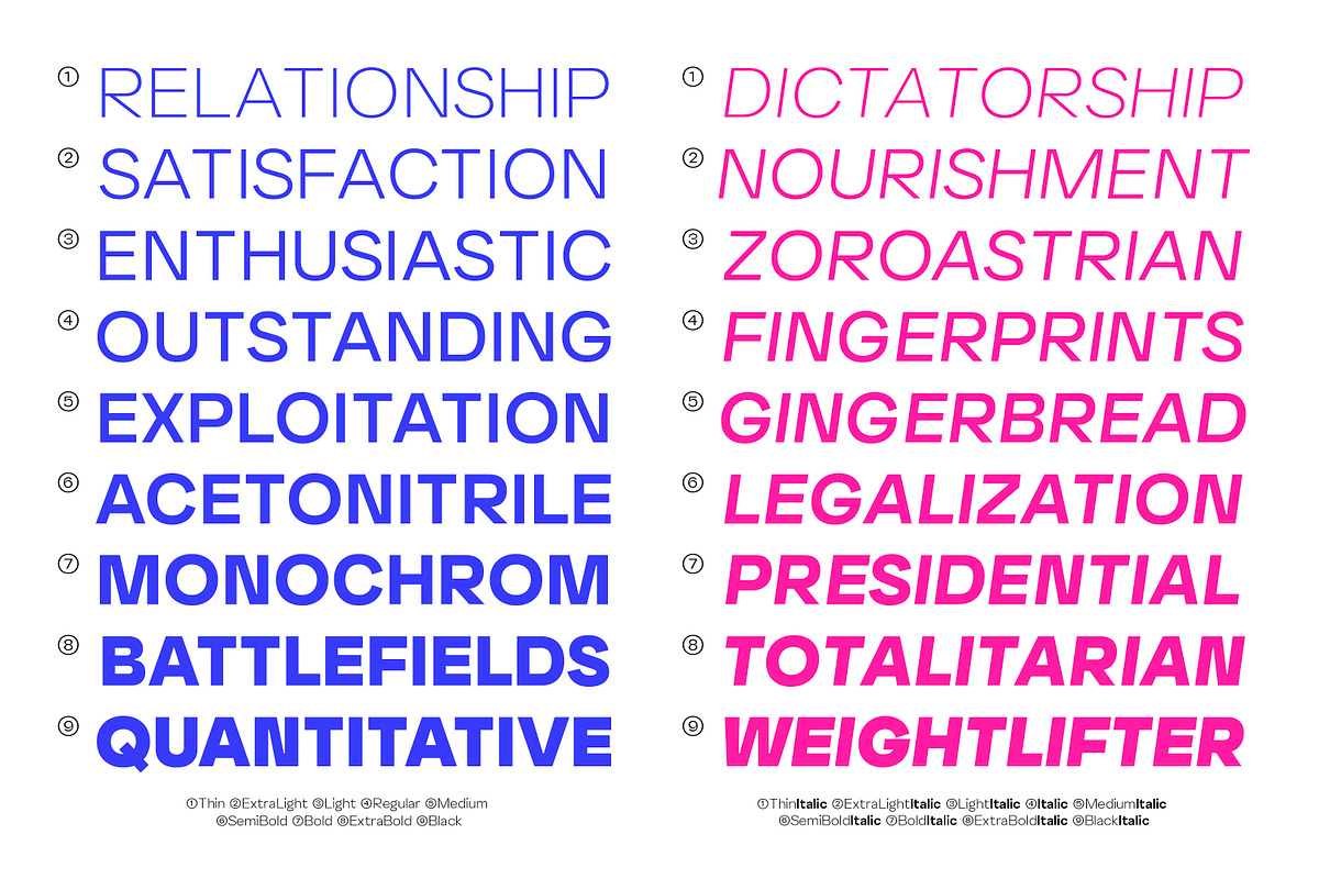 Neutral Font Family, a Sans Serif Font by Aiyari (Photo 5 of 15)