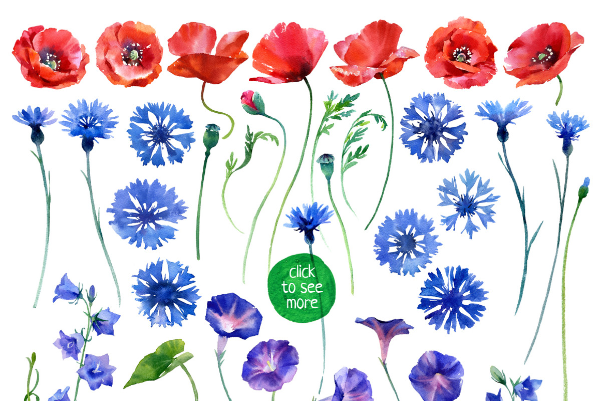 watercolor wildflower, an Illustration by ognivo (Photo 2 of 3)