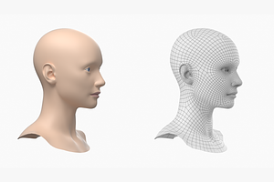 Natural Female Head 01 Generic Mesh