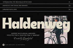 Haldenweg - Bold Retro Sans