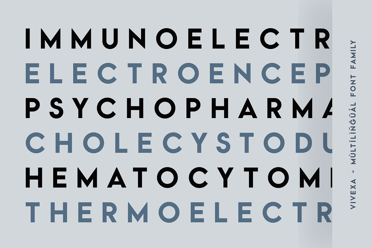 Vivexa Geometric Font Family, a Sans Serif Font by alpercakici (Photo 5 of 9)