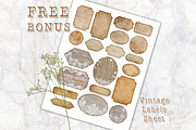 Royal Amethyst Leaves Scrapbook Set, a Background Graphic by V Design Creator (Thumbnail 11 of 12)