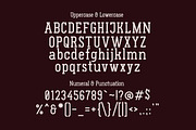 Gluttoner Vintage & Bold Slab Serif, a Serif Font by Lettertype Studio (Thumbnail 12 of 15)