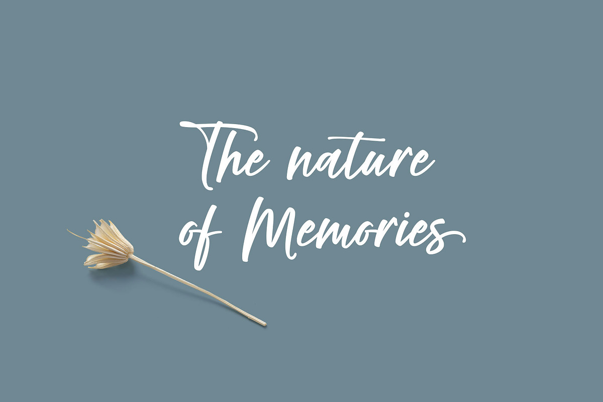 Rambow Script, a Script Font by moriztype (Photo 6 of 8)