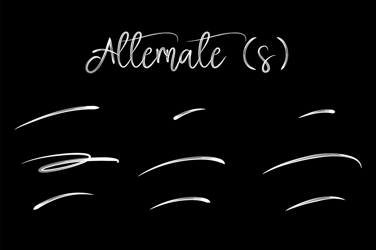 Hamster Signature | Script Font, a Script Font by Scratchones (Photo 8 of 8)