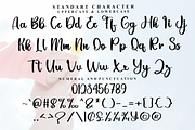 Gemini, a Handwritten Font by FreshTypeINK (Thumbnail 5 of 9)