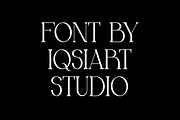 Mechooa - Modern Elegant Font, a Serif Font by Iqsiart Studio (Thumbnail 4 of 8)