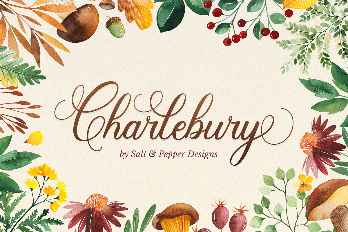 Charlebury Script Font, a Script Font by Salt & Pepper Designs (Photo 1 of 9)