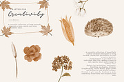 autumn woodland clipart collection, a Decorative Illustration by Patishop Art (Thumbnail 9 of 9)