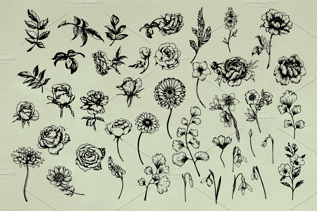 Vintage Herbs & Flowers mega set, an Object Illustration by Garden in frame (Photo 5 of 8)