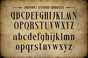 Branodict - Modern Display Serif, a Serif Font by Shakira Studio (Thumbnail 9 of 10)