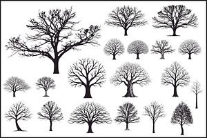 Leafless Tree SVG Bundle, an Illustration by Designer_Momina